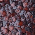 “Cebil frø (Anadenanthera colubrina) – naturlige etnobotaniske frø fra Sydamerika med hård skal og autentisk oprindelse”