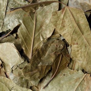 “Chaliponga (Diplopterys cabrerana) – tørrede blade fra Amazonas, etnobotanisk plante med naturlig farve og kvalitet”
