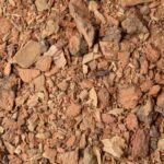 “Quebracho (Schinopsis balansae) – sydamerikansk etnobotanisk urt, skåret bark i naturlige brunlige nuancer af høj kvalitet”