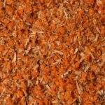 “Wild Dagga (Leonotis leonurus) – etnobotanisk plante fra Sydafrika, naturligt tørrede orange blomster af høj kvalitet”
